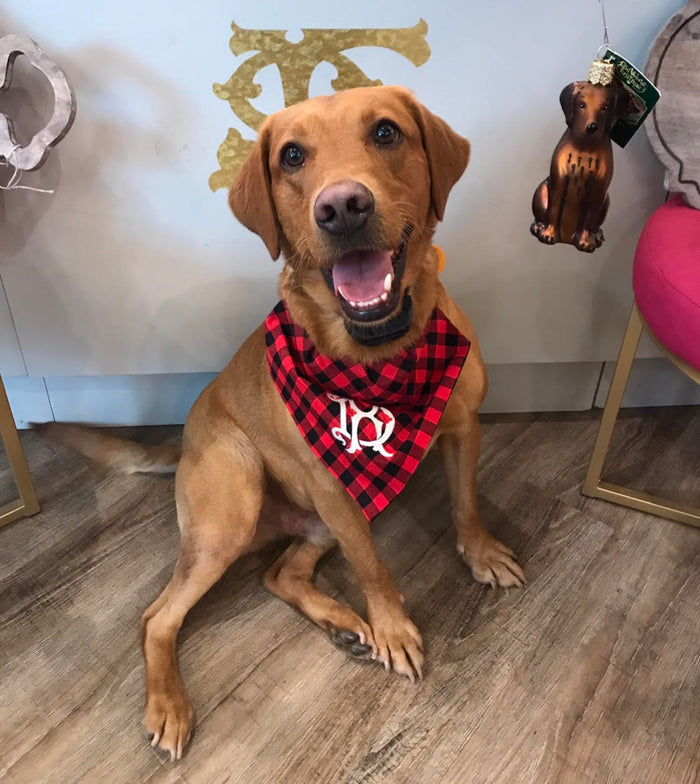 Pet Bandannas