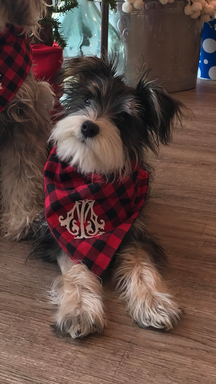 Pet Bandannas