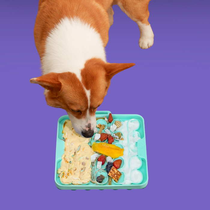 Pet Future Interlocking Lick Mat Blue Gentle Grooves