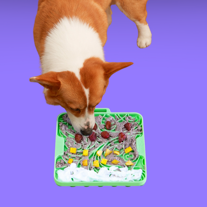 Pet Future Interlocking Lick Mat Green Maze Master