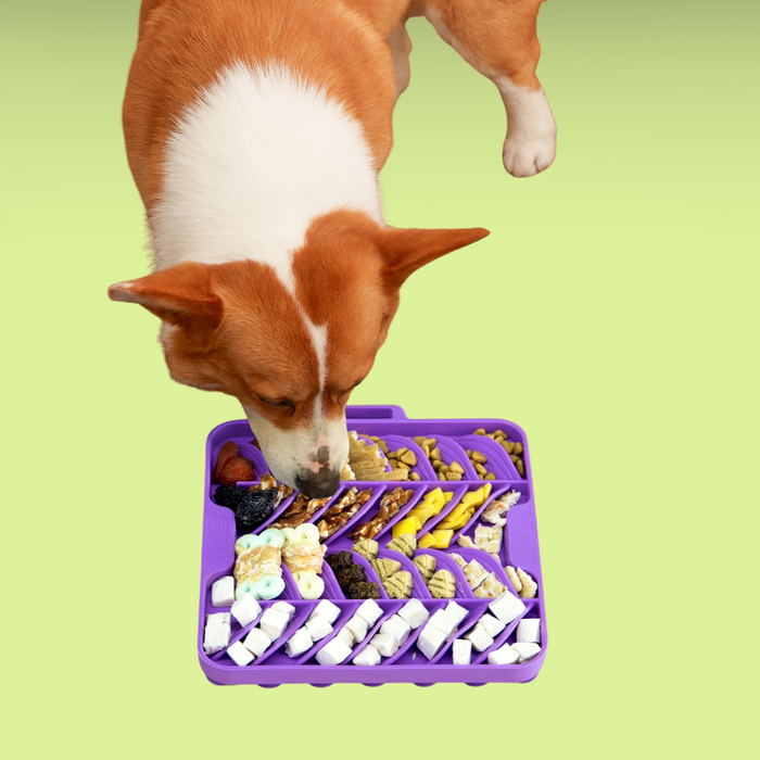 Pet Future Interlocking Lick Mat Purple Leaf Explorer