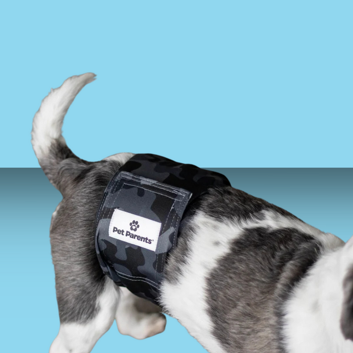 Pet Parents Washable Belly Bands 3pk XS