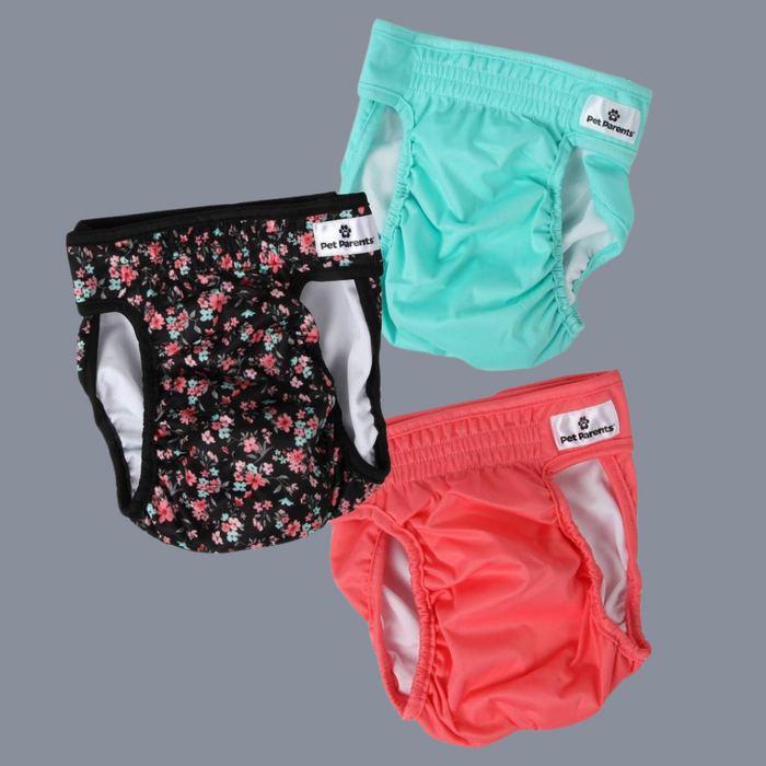 Pet Parents Washable Diapers 3pk Bella XS