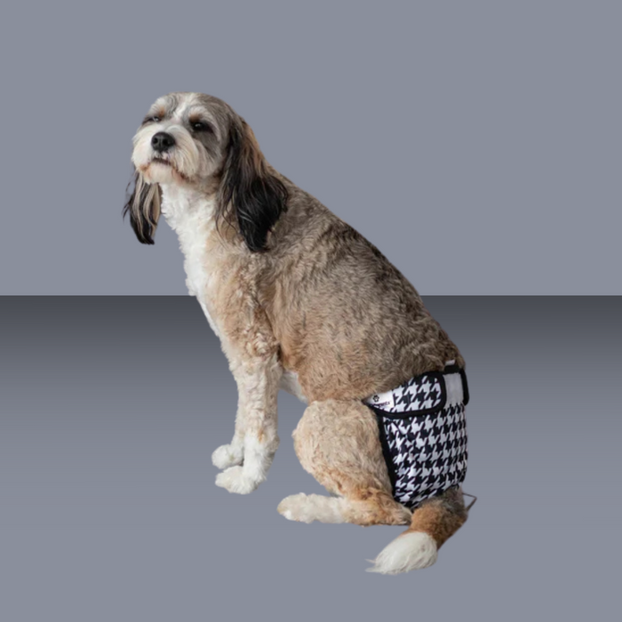 Pet Parents Washable Diapers 3pk Bella XS