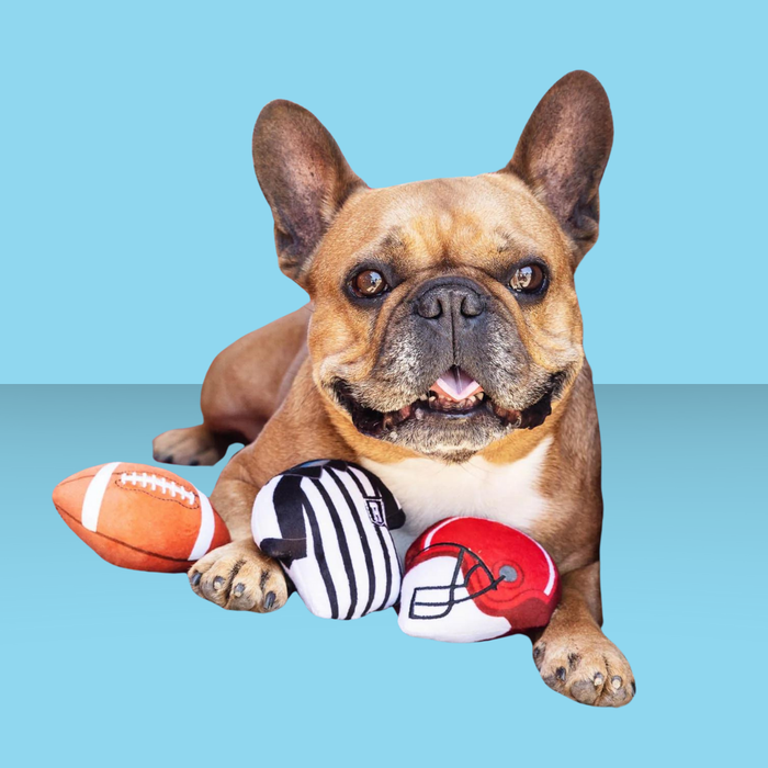 Pet Shop Whole 9 Yards 3 Pack
