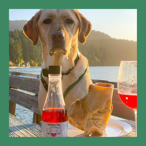 Pet Wine Shop Char-dog-nay