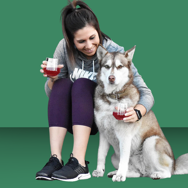 Pet Wine Shop Char-dog-nay
