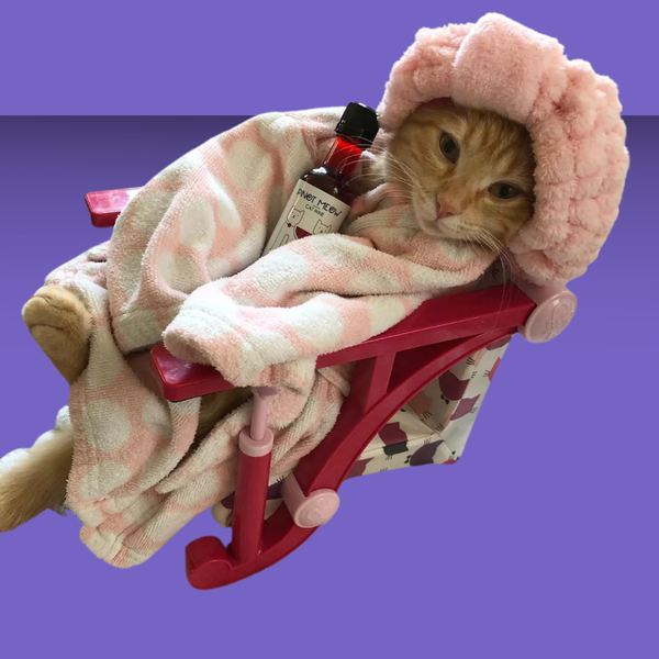 Pet Wine Shop Pinot Meow