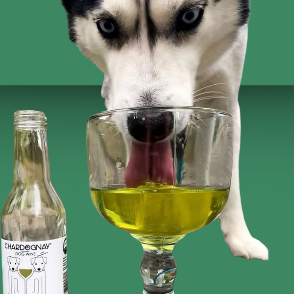 Pet Wine Shop Zinfan-tail