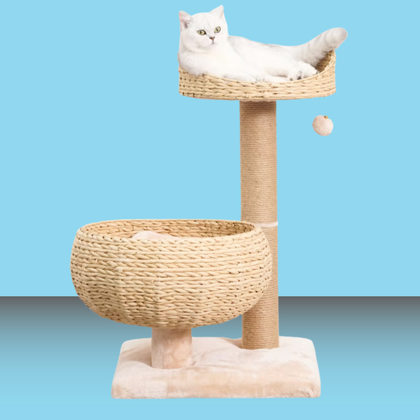 PetPals Cozy V2 2 Level Cat Tree