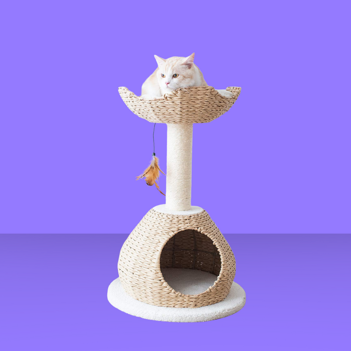 PetPals Walk Up 2 Level Cat Tree