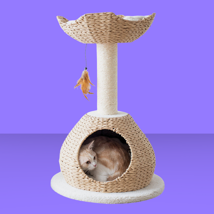 PetPals Walk Up 2 Level Cat Tree