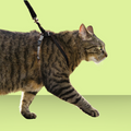 Petsafe Come With Me Kitty Harness S Black