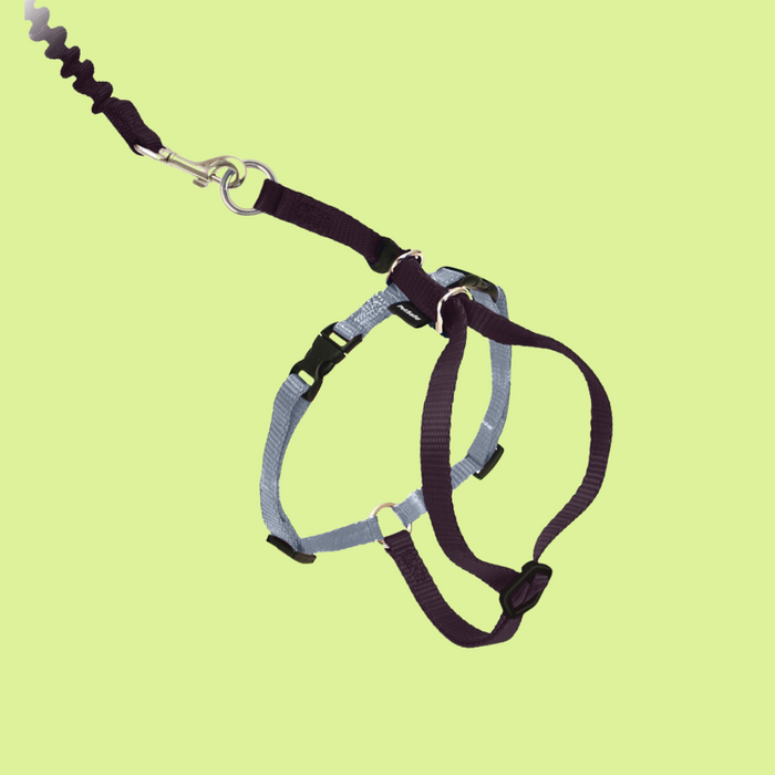 Petsafe Come With Me Kitty Harness S Black
