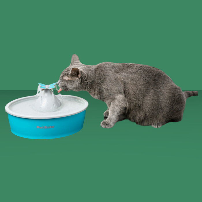 PetSafe DrinkWell Butterfly Fountain 50oz