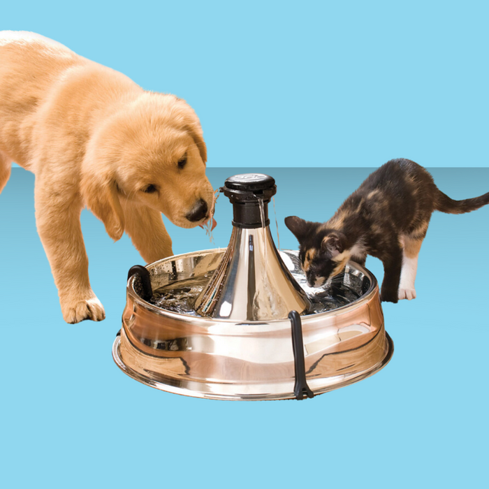 PetSafe DrinkWell Stainless Steel Multi-Pet Fountain 128oz