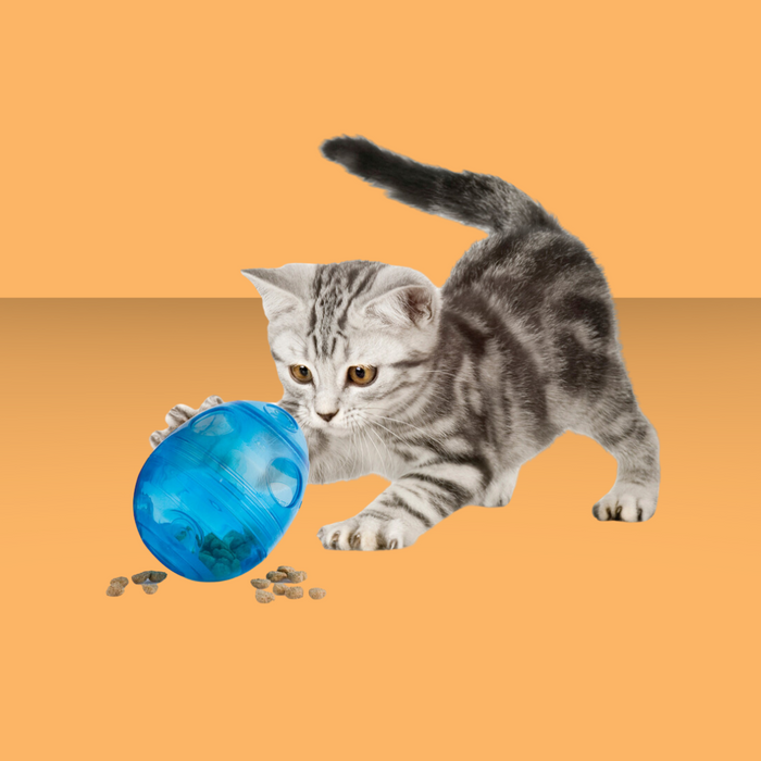 PetSafe Funkitty Eggcersizer