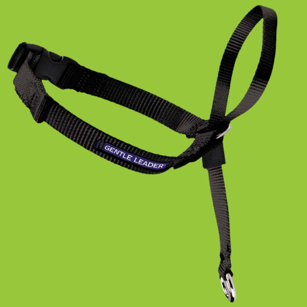 Petsafe Gentle Leader Head Collar S