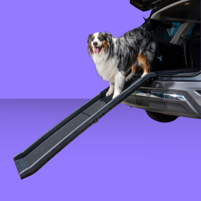 Petsafe Happy Ride Folding Dog Ramp