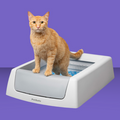 Petsafe Scoopfree Cat Litter Box
