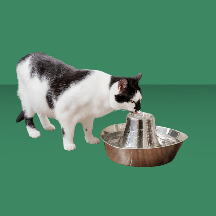 PetSafe Seaside Stainless Steel Fountain 60oz