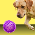 Petsport Gorilla Spiky Ball L
