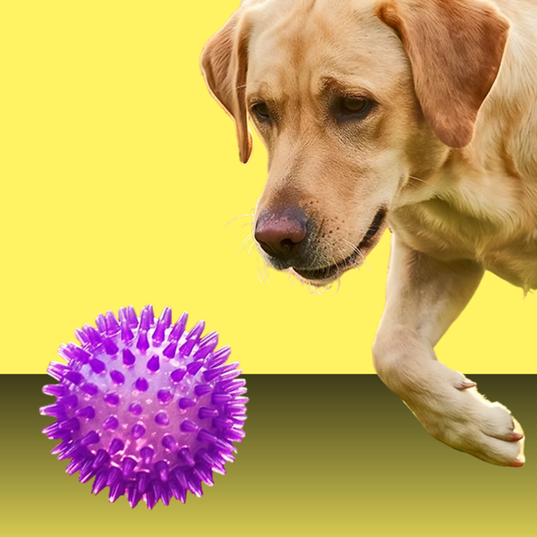 Petsport Gorilla Spiky Ball L