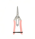 Pink Secateurs