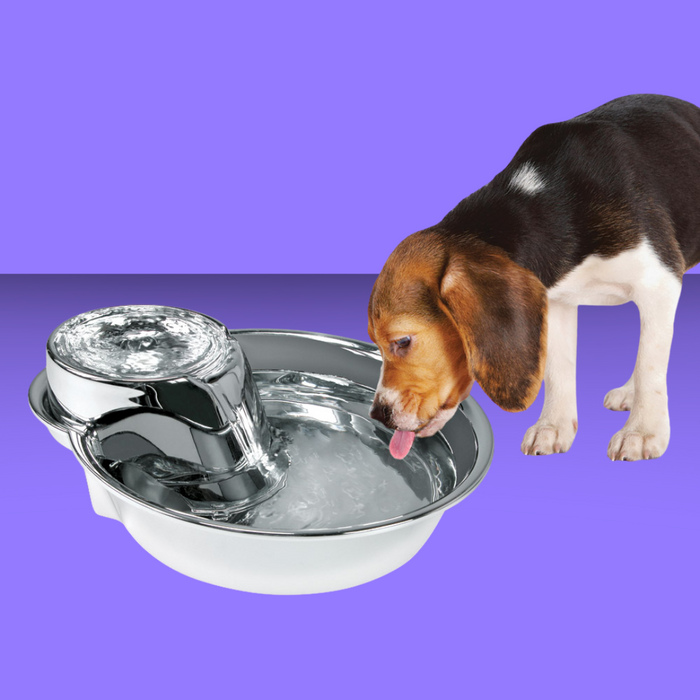 Pioneer Pet Big Max Stainless Steel Fountain