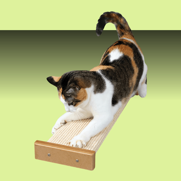Pioneer Pet Bootsie's Combination Scratcher