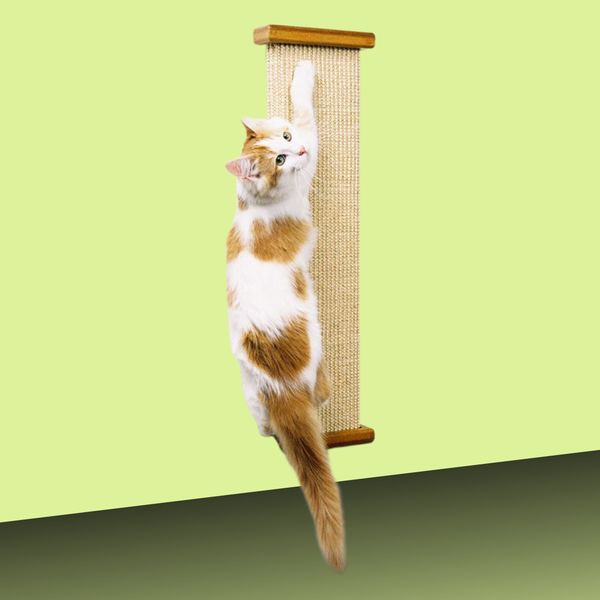 Pioneer Pet Bootsie's Combination Scratcher