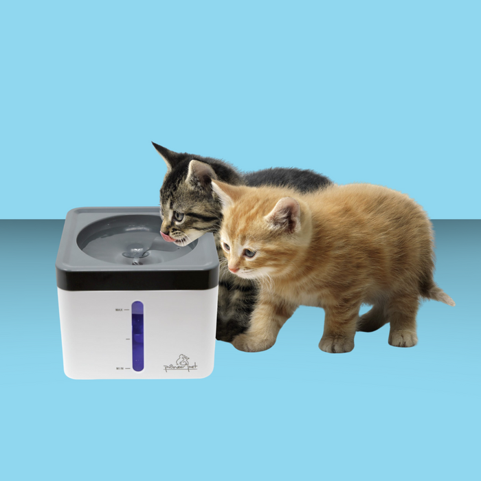 Pioneer Pet Mini Vortex Fountain 80oz