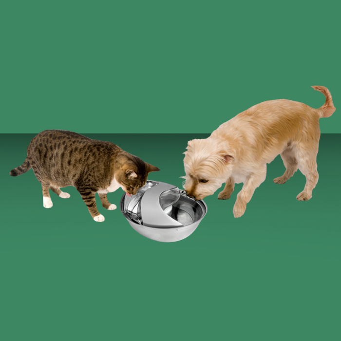 Pioneer Pet Raindrop Stainless Steel Fountain