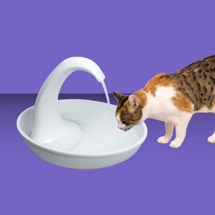 Pioneer Pet Swan Fountain Plastic