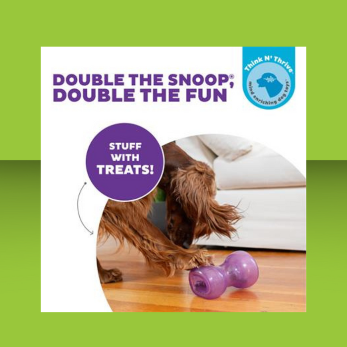 Planet Dog Double Snoop Purple