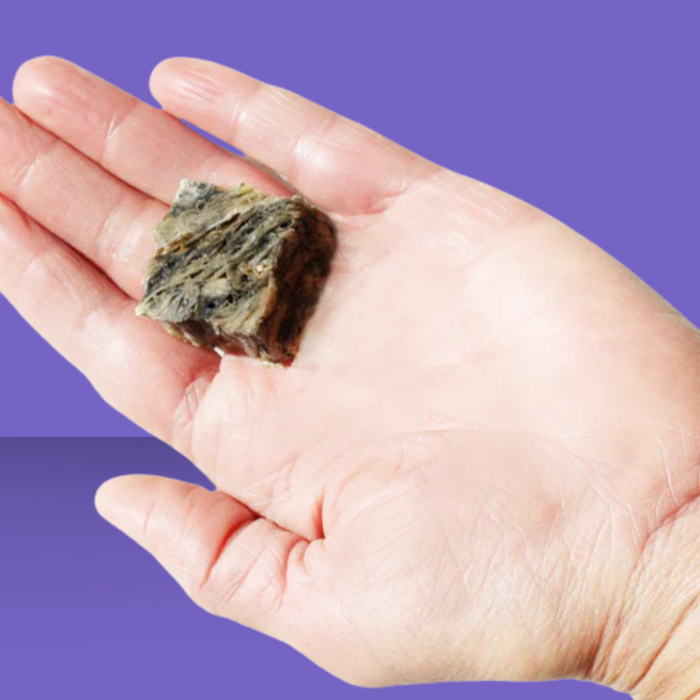 Plato Hundur's Crunch Jerky Minis 3.5oz