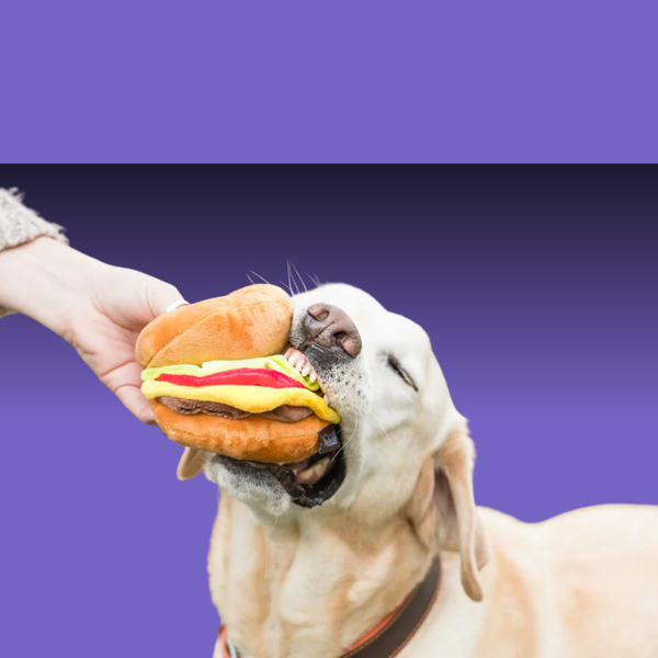 P.L.A.Y. American Classic Burger