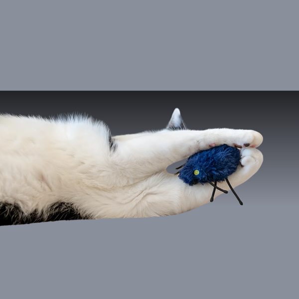 P.L.A.Y. Feline Frenzy Creepy Critters