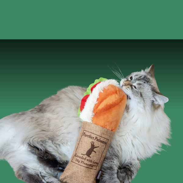 P.L.A.Y. Feline Frenzy Kicker Tuna Baguette