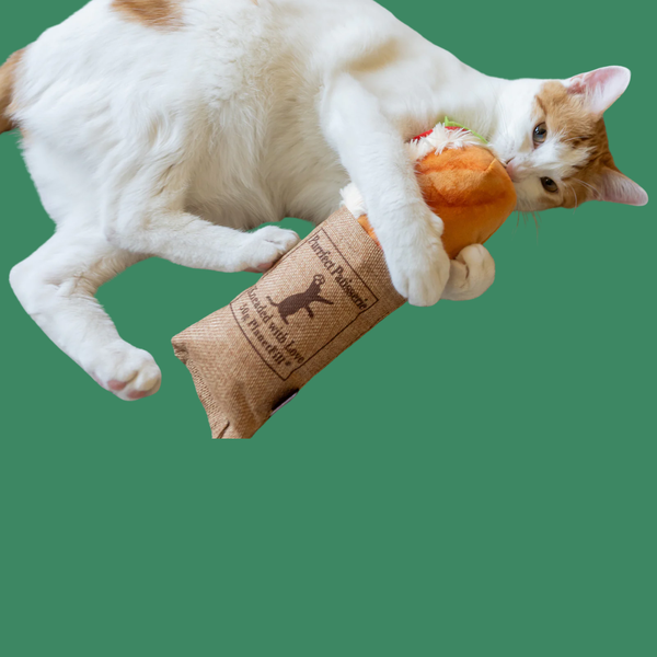 P.L.A.Y. Feline Frenzy Kicker Tuna Baguette