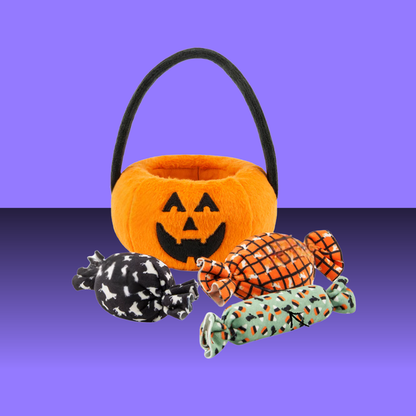 P.L.A.Y. Howl-O-Ween Pumpkin Basket