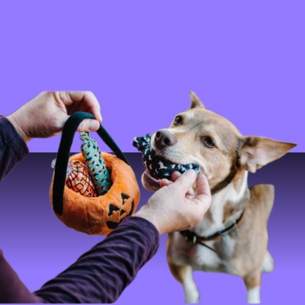 P.L.A.Y. Howl-O-Ween Pumpkin Basket