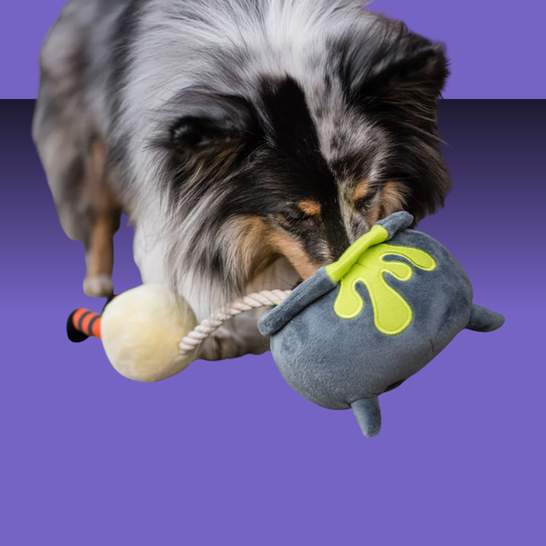 P.L.A.Y. Howling Haunts Pups Potion