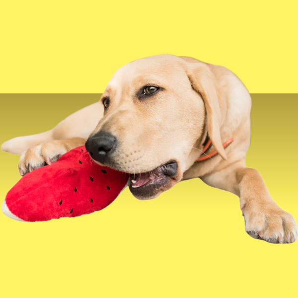 P.L.A.Y. Tropical Paradise Wagging Watermelon