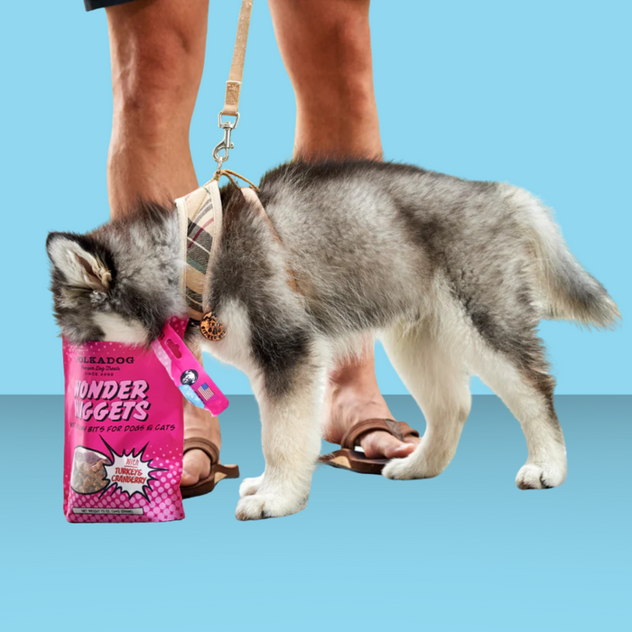 Polkadog Wonder Nuggets Turkey 10oz