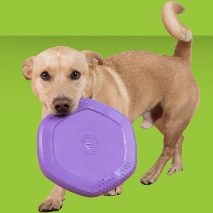 Project Hive Calming Lavender Disc & Lick Mat Purple