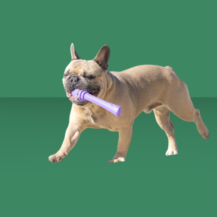 Project Hive Calming Lavender Fetch Stick Purple