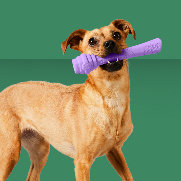 Project Hive Calming Lavender Fetch Stick Purple