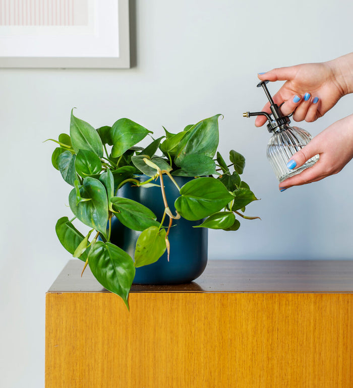 Propagation Bundle