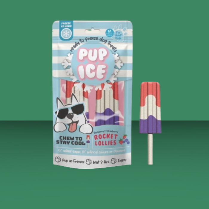 Pup Ice Rocket Lollies Strawberry & Blueberry